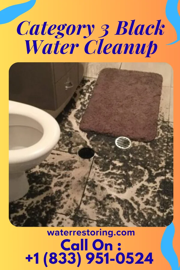 Category 3 Black Water Cleanup in Boston, IN